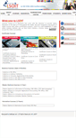 Mobile Screenshot of lsoit.co.in